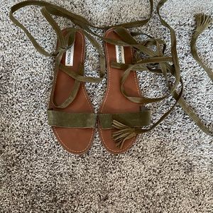 Steve Madden gladiator sandals